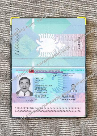 Albania passport photo look